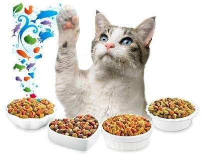 1000 kg/h Capacità Linea di produzione automatica di alimenti per cani versatili per soluzioni versatili