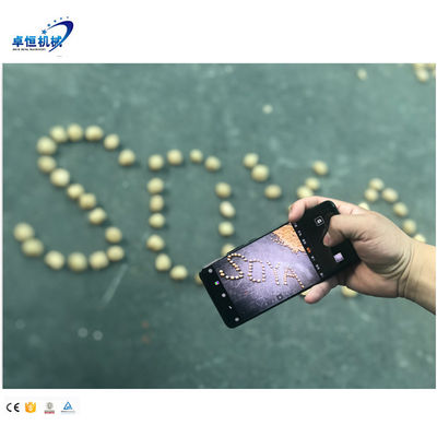 Apparecchiature per la fabbricazione di barrette proteiche di soia a texture multifunzionale per la lavorazione alimentare