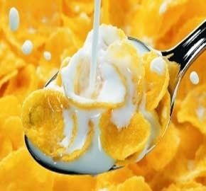 Componenti di base Pompa di mais Cereali da colazione macchina di produzione personalizzata