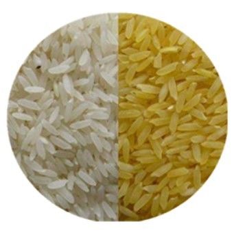 Macchina per la lavorazione del riso a doppia vite ad alta automazione 100 kg/h-900 kg/h Condizione