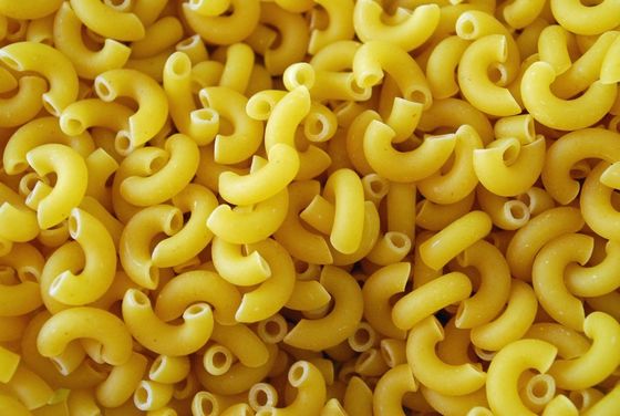 Macchine per la produzione di pasta in acciaio inossidabile per soddisfare le esigenze dei clienti