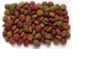 Linea avanzata di lavorazione di pellet per alimenti per animali domestici di piccola e media capacità in acciaio inossidabile