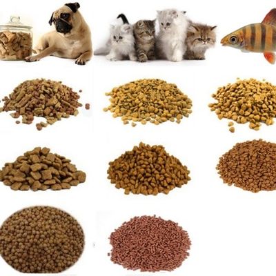 Video di ispezione in uscita Fornito miscelatore di linea di produzione di alimenti per animali domestici per un facile funzionamento