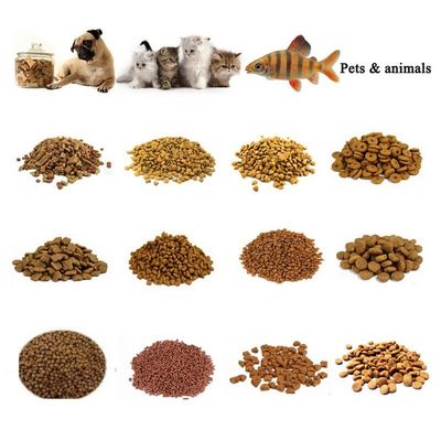 Linea di produzione di estrusori di alimenti per animali domestici in acciaio inossidabile completamente automatica con ispezione video