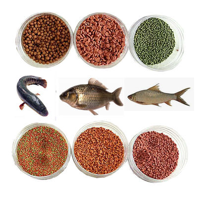 5 tonnellate/ora Linea di produzione di estrusori a doppia vite per mangimi per pesci