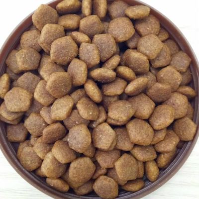Equipaggiamento per l'estrusione di pellet di alimenti per cani a piccole dimensioni con tecnologia Delta Inverter