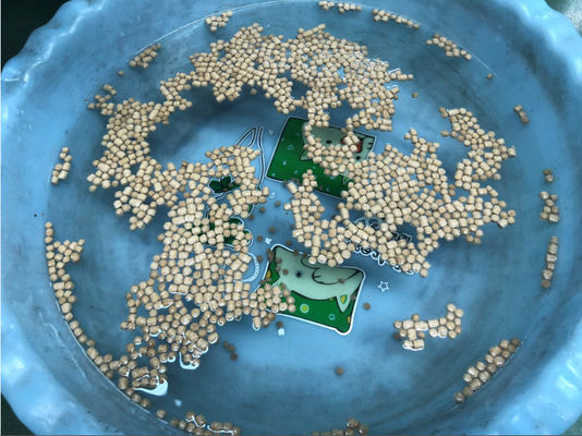 Macchine per l'estrusione di pellet per mangimi di pesci con alta tecnologia